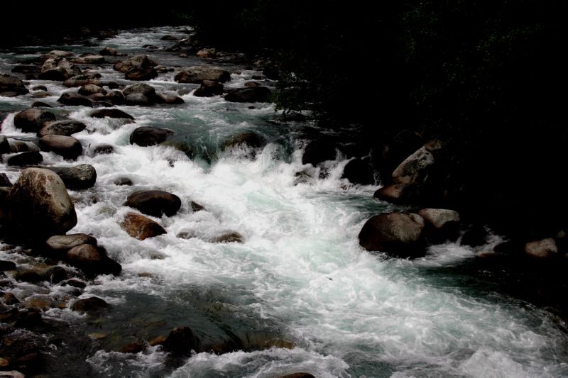 070404 Hope Hatcher Montana Creek (10120)